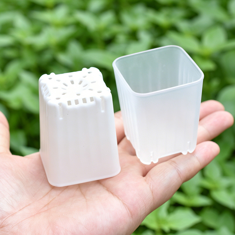 Food Storage Plants - 50-100Pcs 4cm Mini Thicken White/Transparent Square