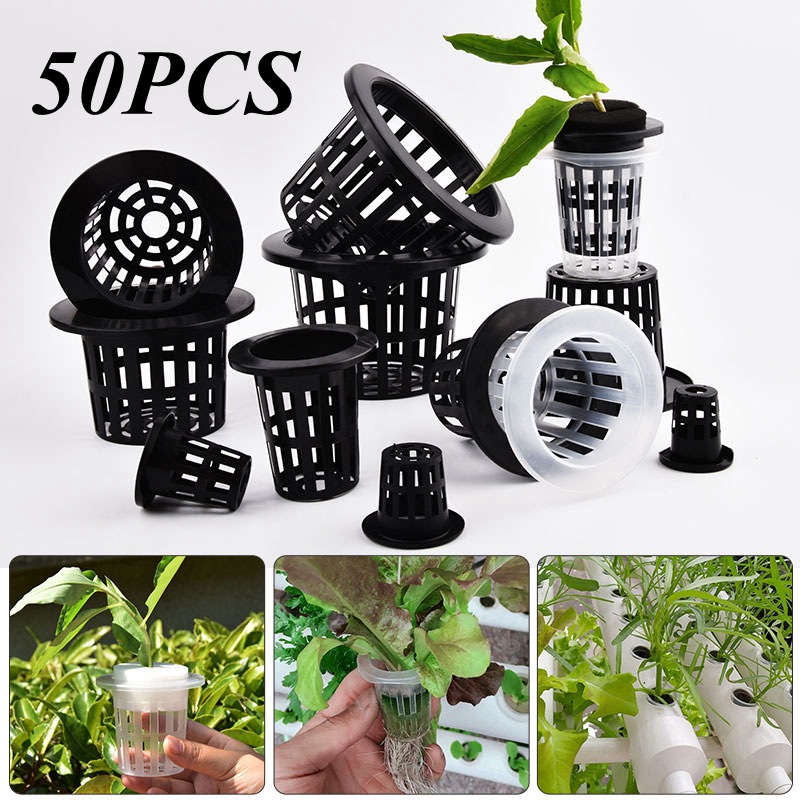 Food Storage Plants - 50Pcs Black White Soilless Mesh Plant