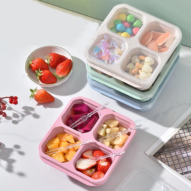 Food Storage Freezer - 4 Grids Food Storage Box Portable