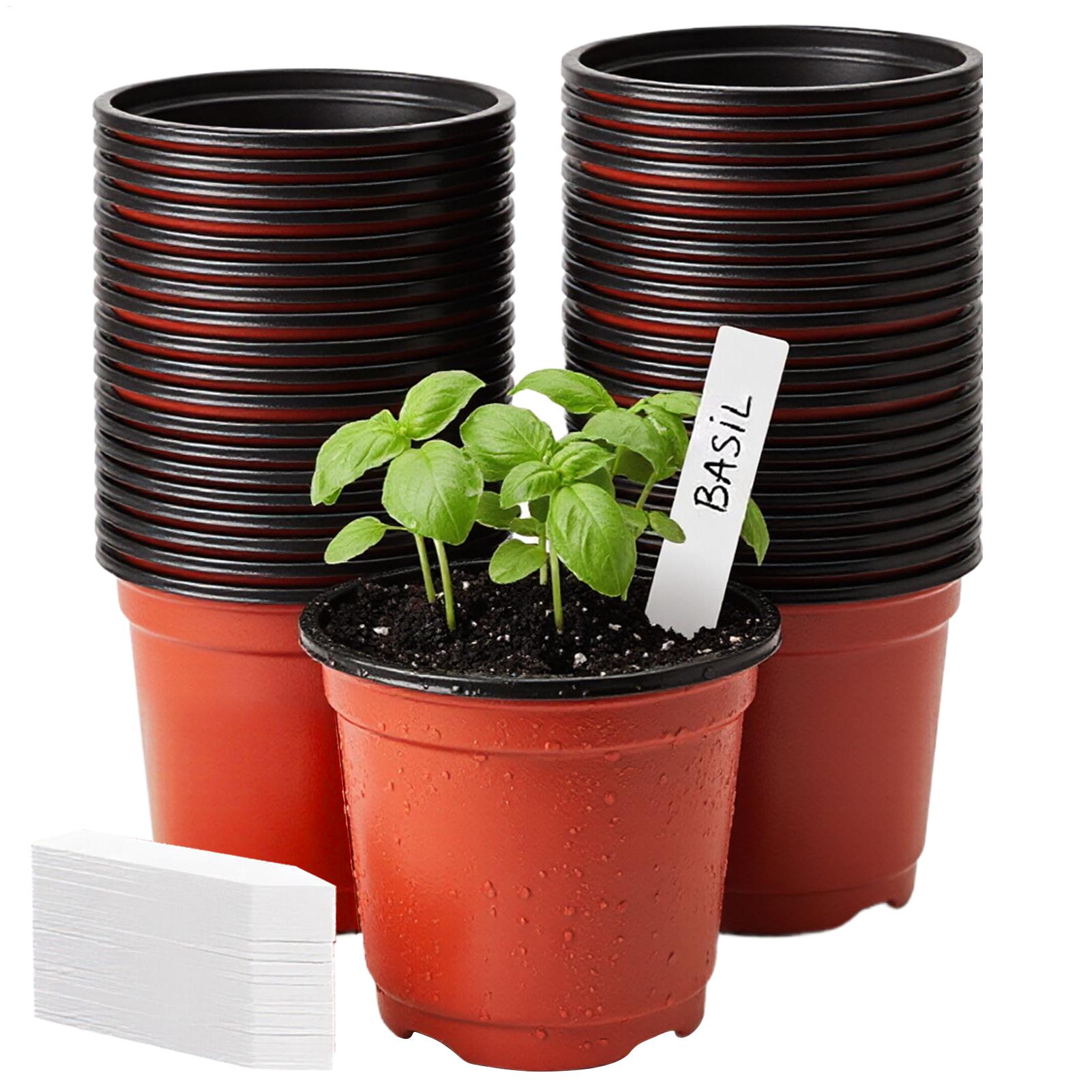Plant Pots 100pcs Nursery Pots - Food Storage Plants review and price