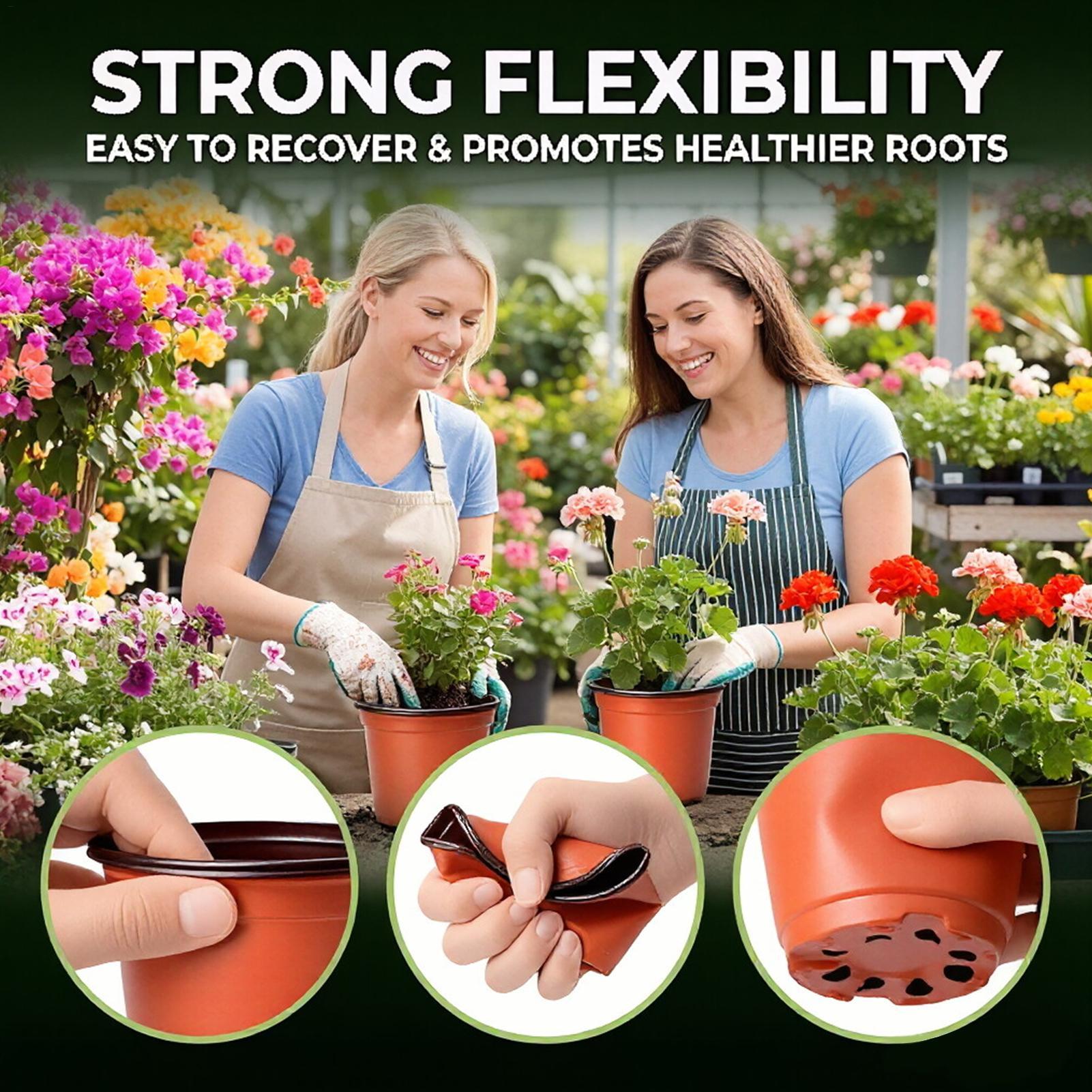 Plant Pots 100pcs Nursery Pots - Food Storage Plants review and price