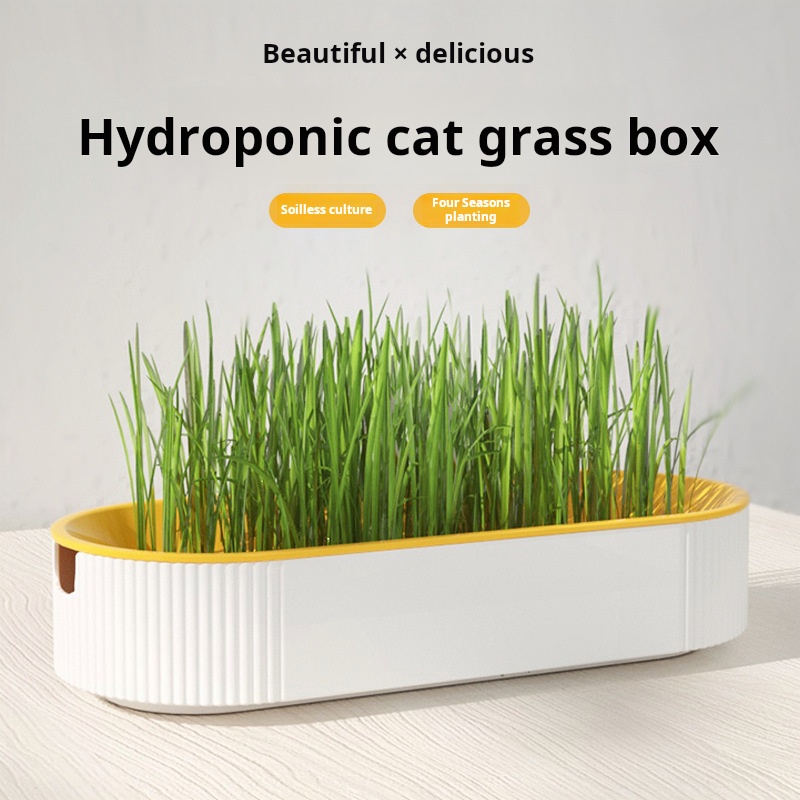 Easy Growth Hydroponic Cat Gra - Food Storage Plants review and price