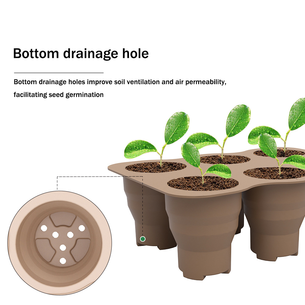 1pc 6Holes Silicone Seedling T - Food Storage Plants review and price