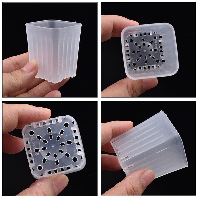 50-100Pcs 4cm Mini Thicken Whi - Food Storage Plants review and price