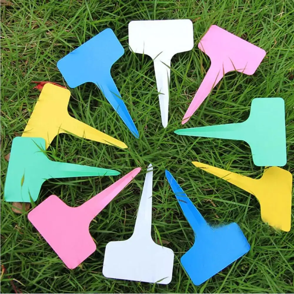 25-200Pcs Reusable Plastic Pla - Food Storage Plants review and price