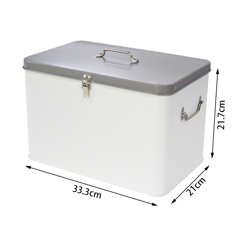Large Capacity Storage Box Wit - Food Storage Locker review and price