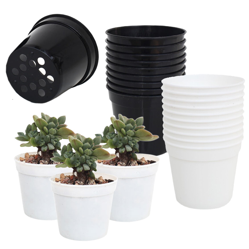 10/20pcs Round Plastic Flowerp - Food Storage Plants review and price
