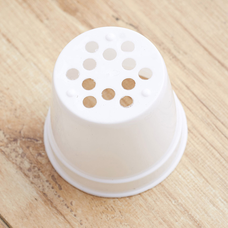 10/20pcs Round Plastic Flowerp - Food Storage Plants review and price