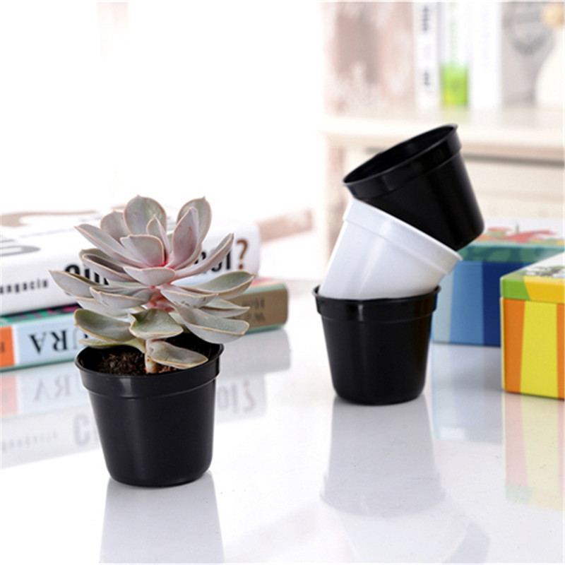 10/20pcs Round Plastic Flowerp - Food Storage Plants review and price