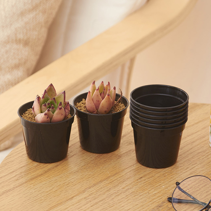 10/20pcs Round Plastic Flowerp - Food Storage Plants review and price