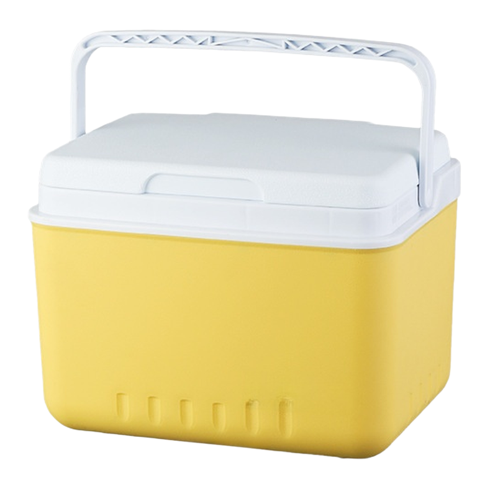 Portable 6L 15L Insulated Cool - Food Storage For Camping review and price