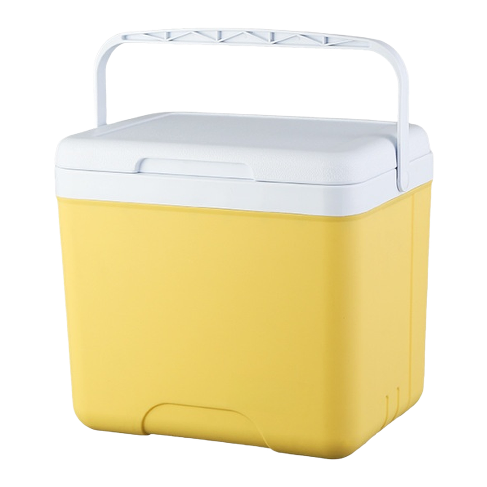 Portable 6L 15L Insulated Cool - Food Storage For Camping review and price