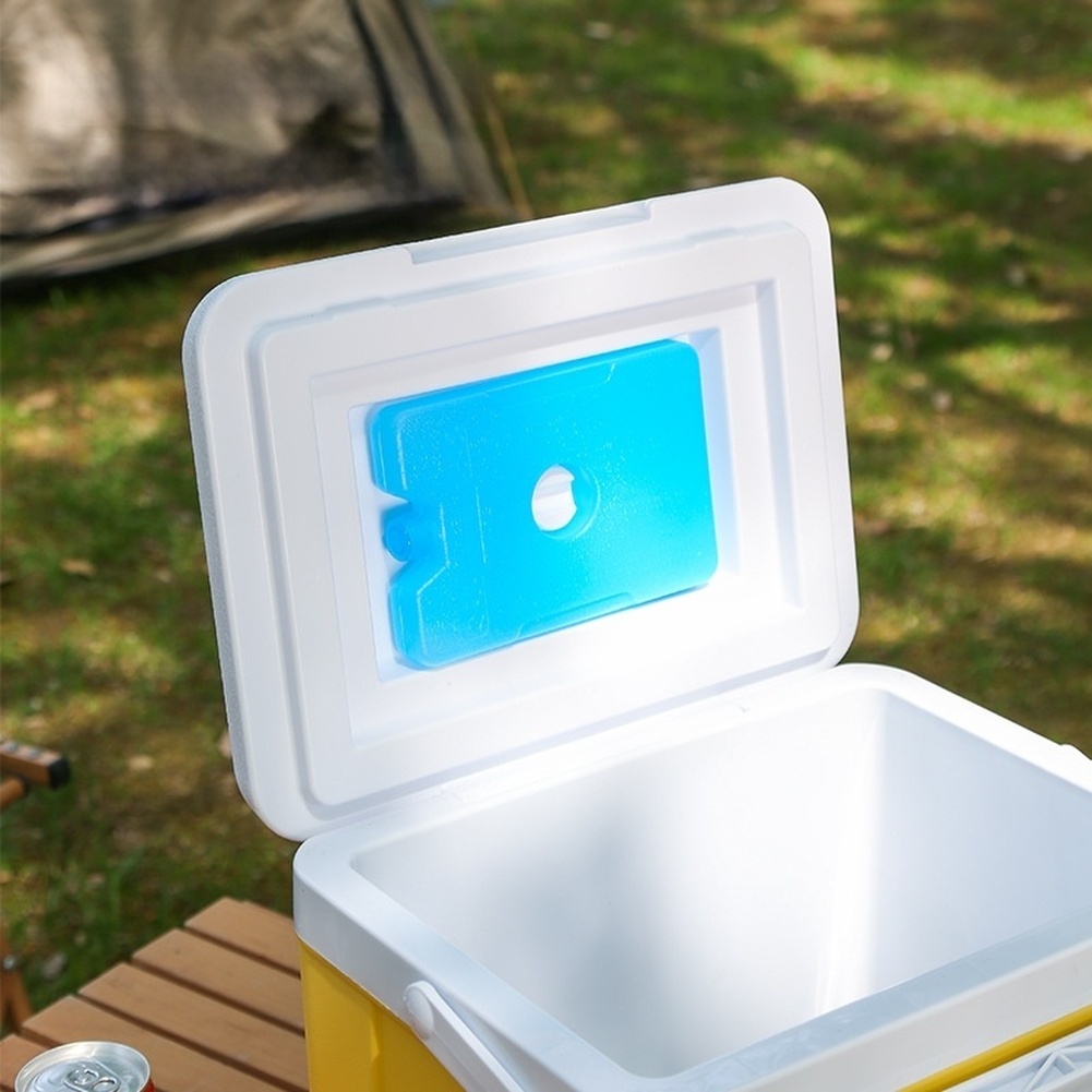 Portable 6L 15L Insulated Cool - Food Storage For Camping review and price