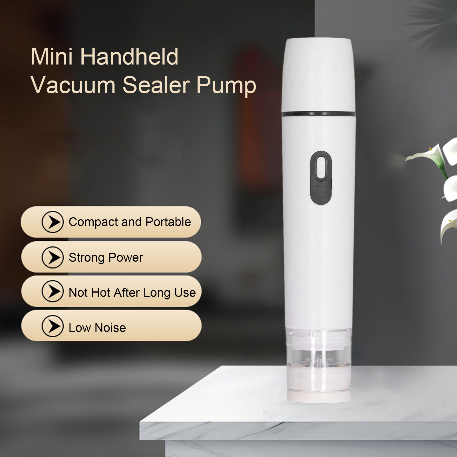 Electric Air Pump Handheld Vac - Food Storage Vacuum review and price