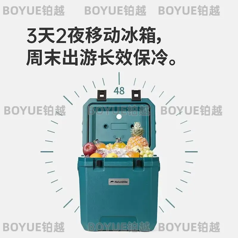 Portable Insulated Cooler Bag  - Food Storage To Keep Warm review and price