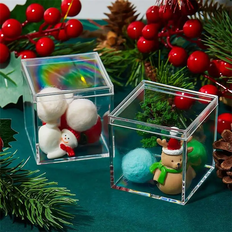 12 PCS Transparent Acrylic Box - Xmas Food Storage Containers review and price