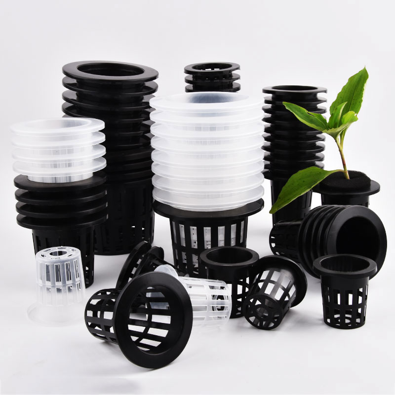 50Pcs Black White Soilless Mes - Food Storage Plants review and price