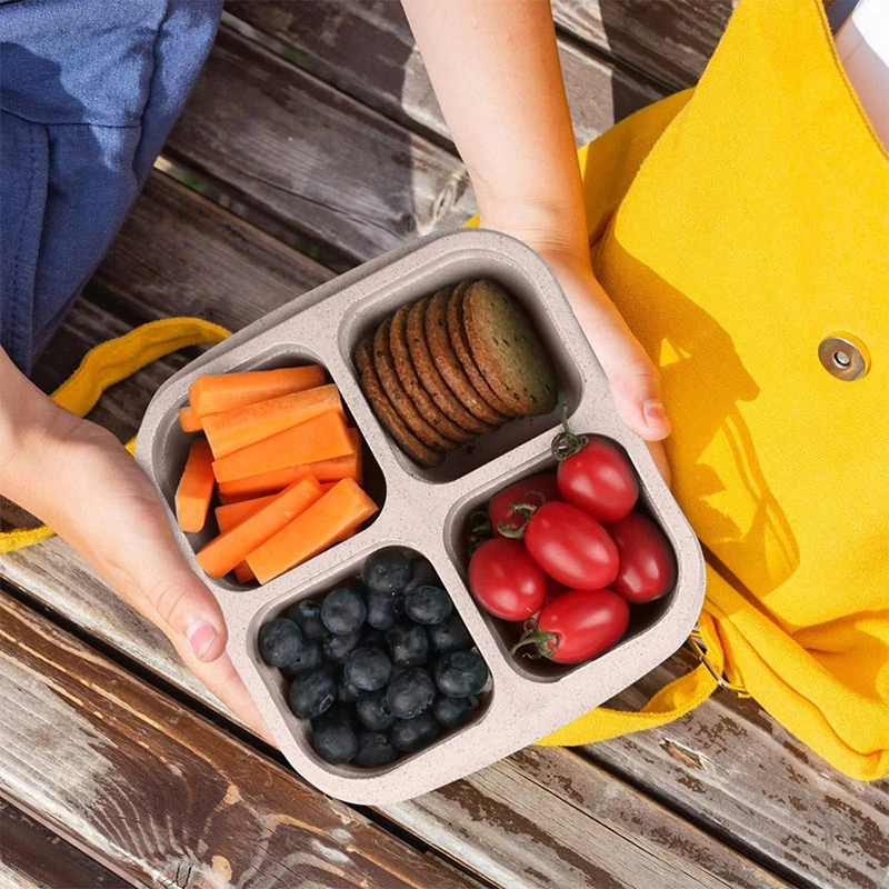 4 Grids Food Storage Box Porta - Food Storage Freezer review and price