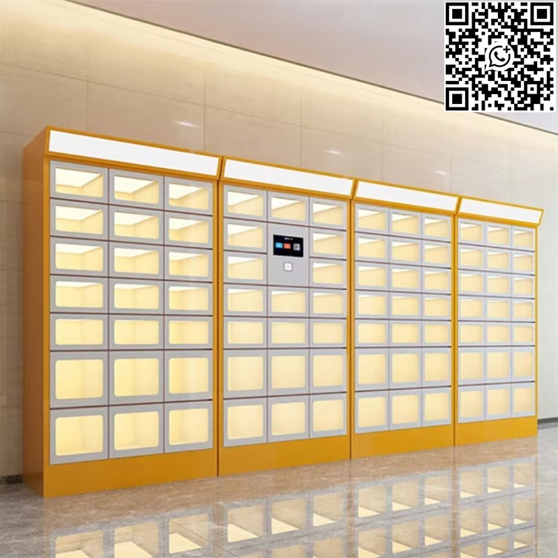 Custom Double Sided Locker Ele - Food Storage Locker review and price