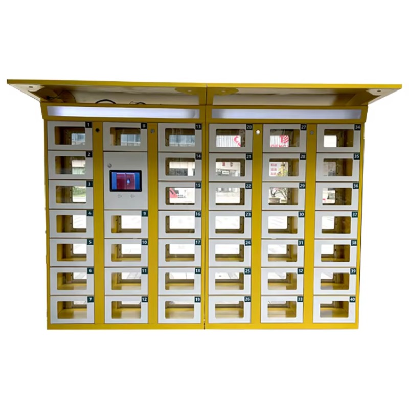Custom Double Sided Locker Ele - Food Storage Locker review and price