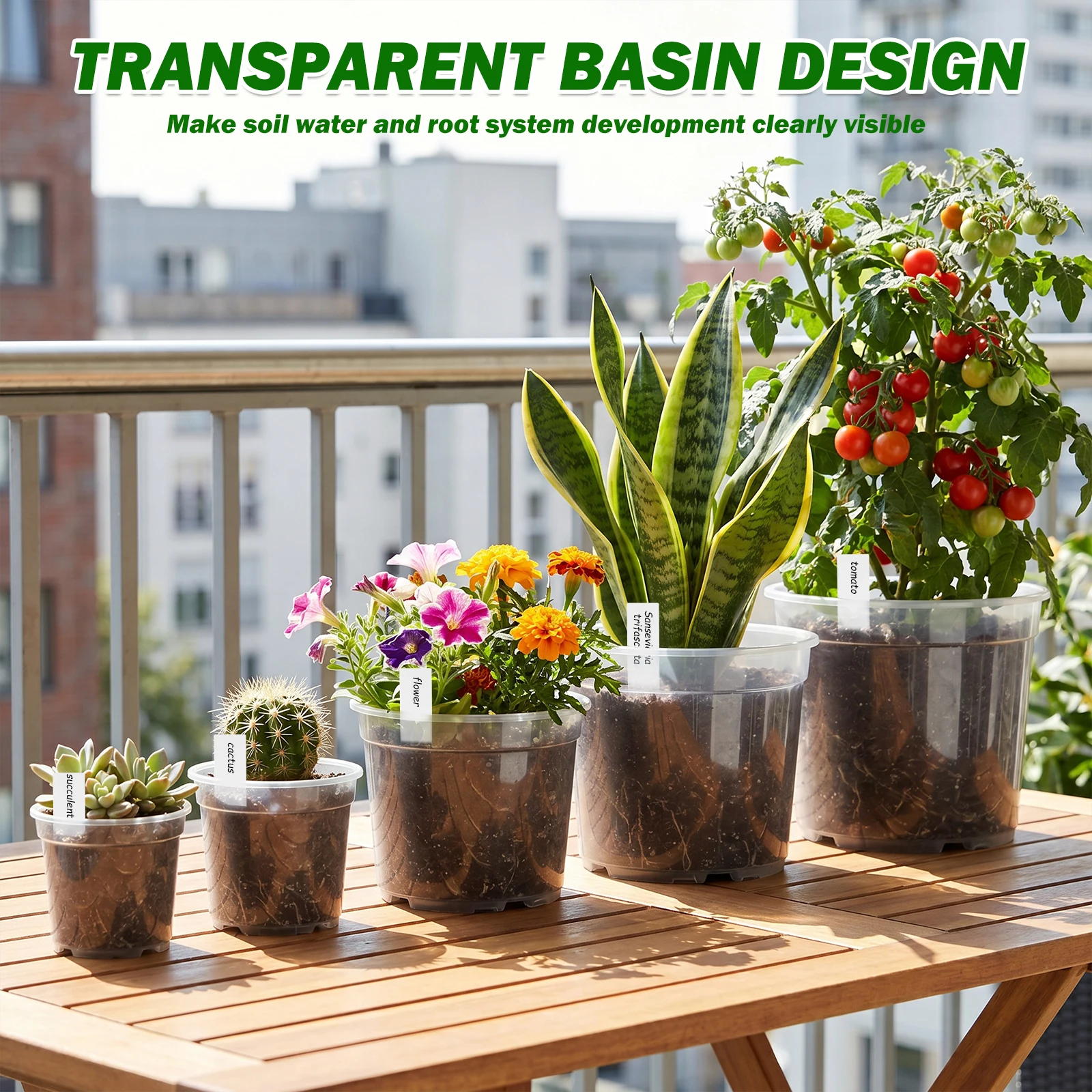 25Pcs 3/4/5/6/7 Inch Clear Nur - Food Storage Plants review and price
