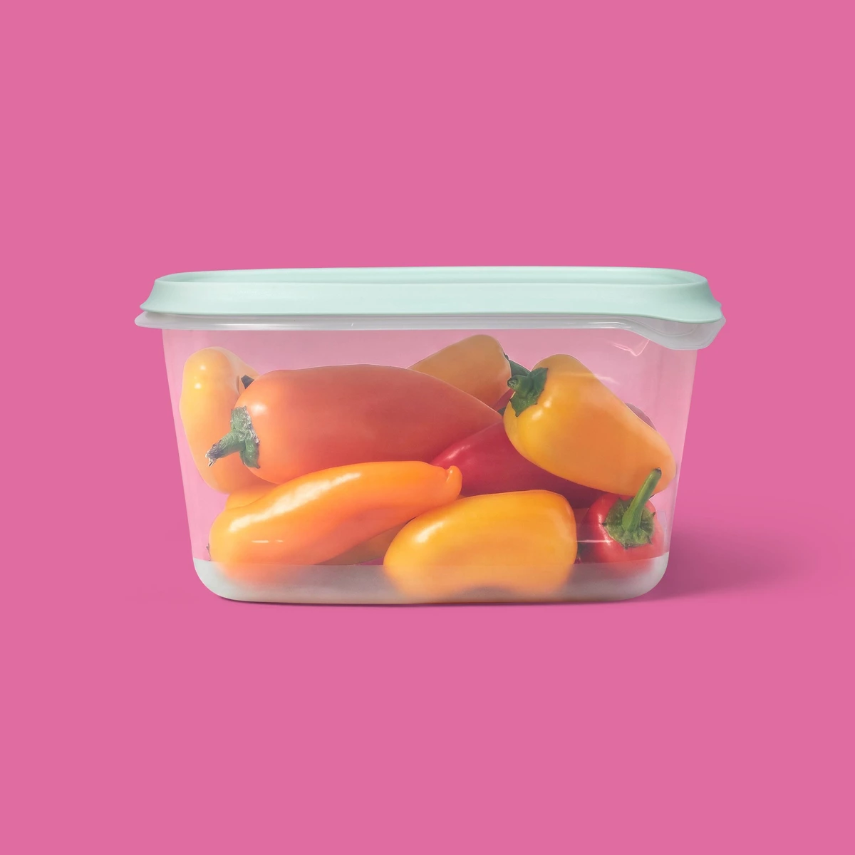 2026 New 2 Pack 48oz Large Rec - Food Storage Freezer review and price